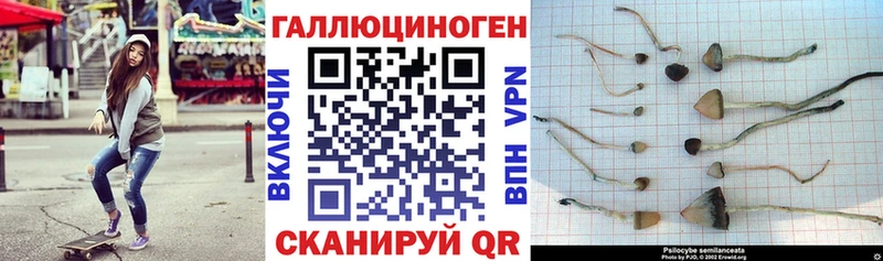 Псилоцибиновые грибы мицелий  цена   Старица 