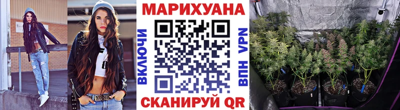 Бошки марихуана сатива Старица